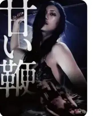《甜蜜皮鞭》1080P未删减版资源下载-《甜蜜皮鞭》百度网盘高清完整版在线观看